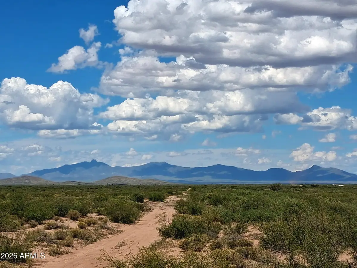 TBD Shepherd Hills Road #40, Pearce, AZ 85625 - #1