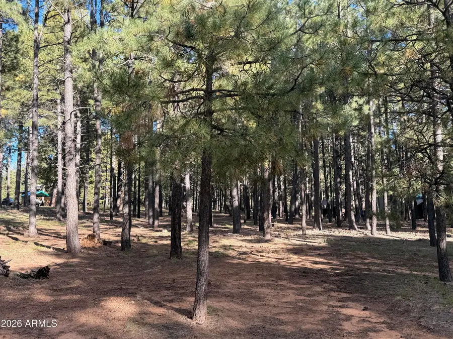 2661 Vacation Drive #549, Forest Lakes, AZ 85931 - #2
