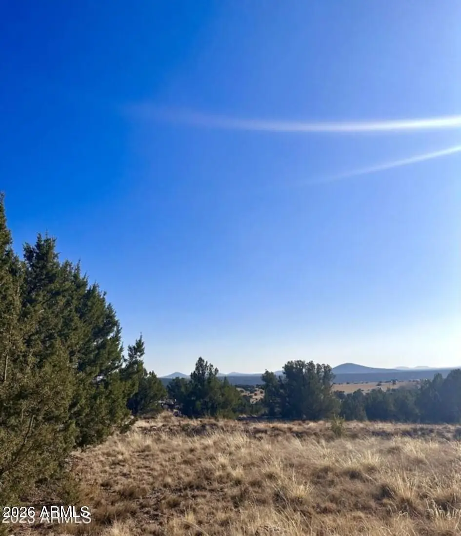 14 8249 -- #38, Concho, AZ 85924 - #1
