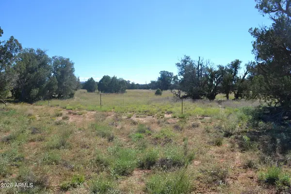 TBD N5549 -- #180, Concho, AZ 85924