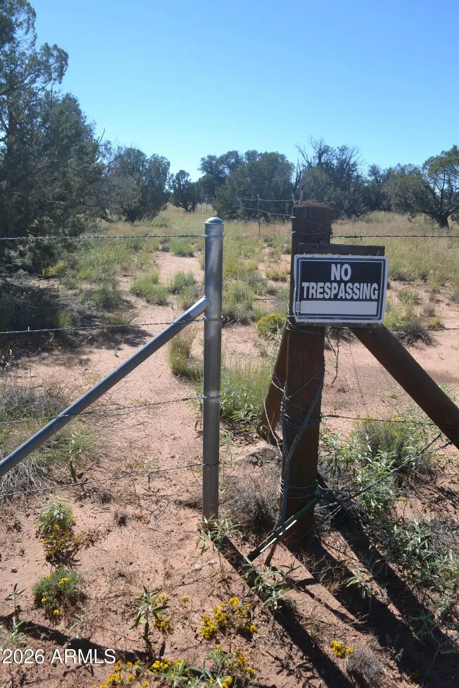 TBD N5549 -- #180, Concho, AZ 85924 - #2