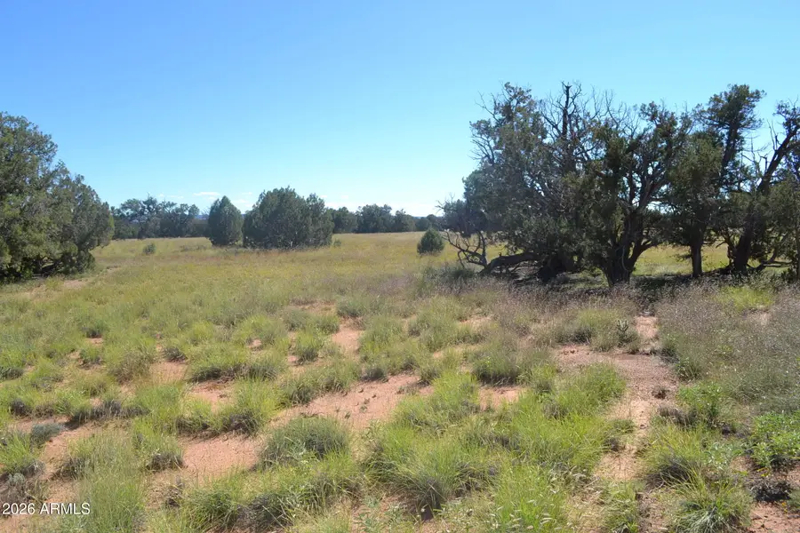 TBD N5549 -- #180, Concho, AZ 85924 - #3