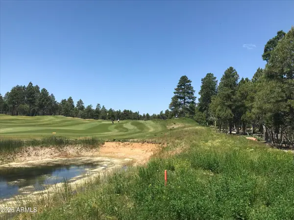 4241 W Falling Leaf Road #319, Show Low, AZ 85901