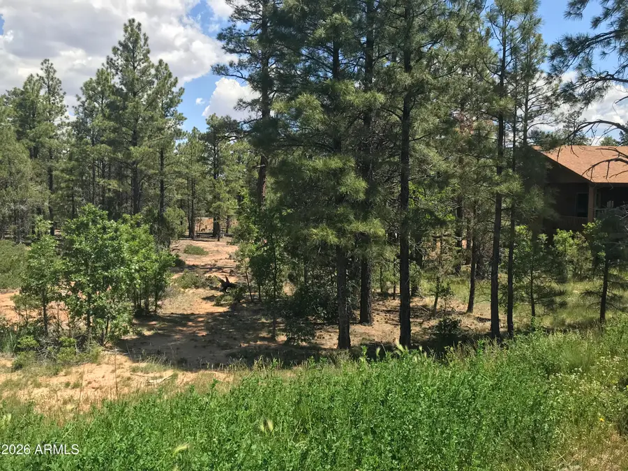 4241 W Falling Leaf Road #319, Show Low, AZ 85901 - #2