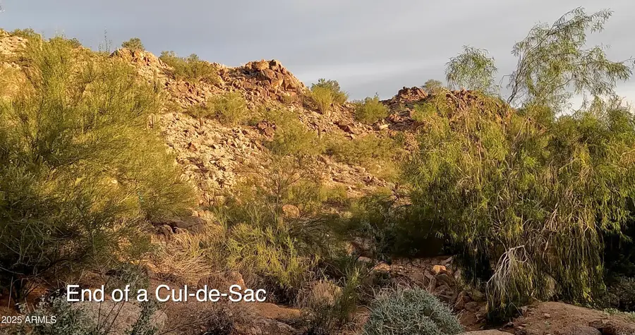 5900 E Cholla Lane, Paradise Valley, AZ 85253 - #3
