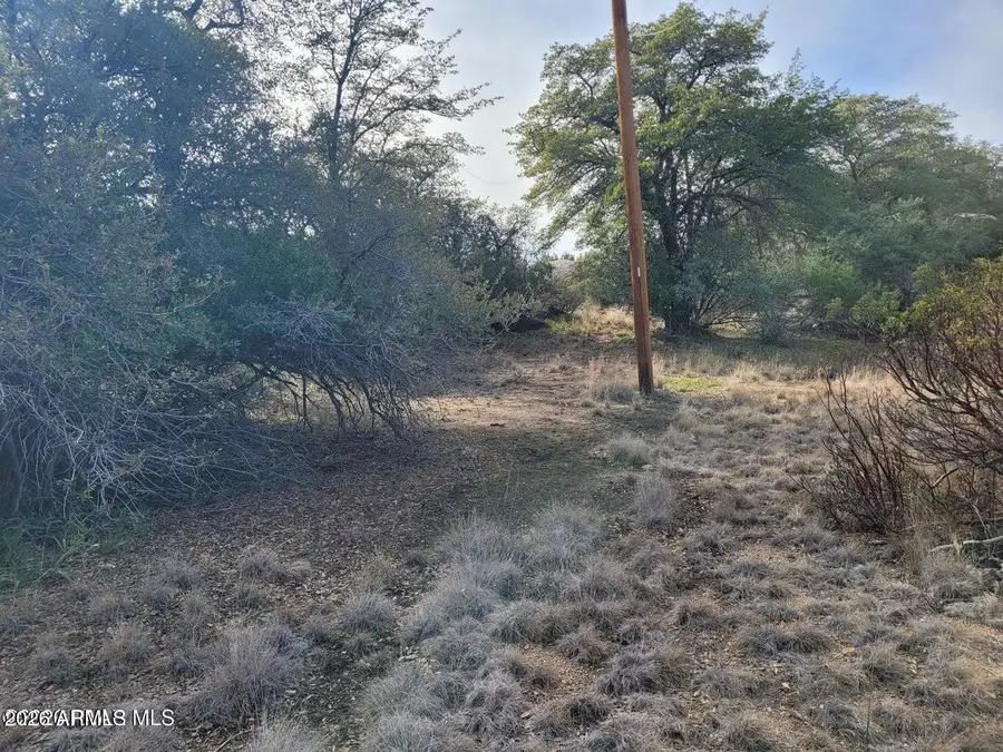 23234 S Mountainaire Drive, Yarnell, AZ 85362 - #2
