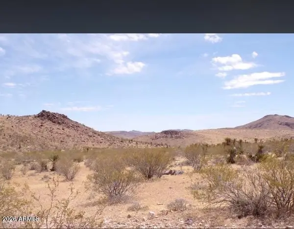 0 Unassigned -- #58, Dolan Springs, AZ 86441