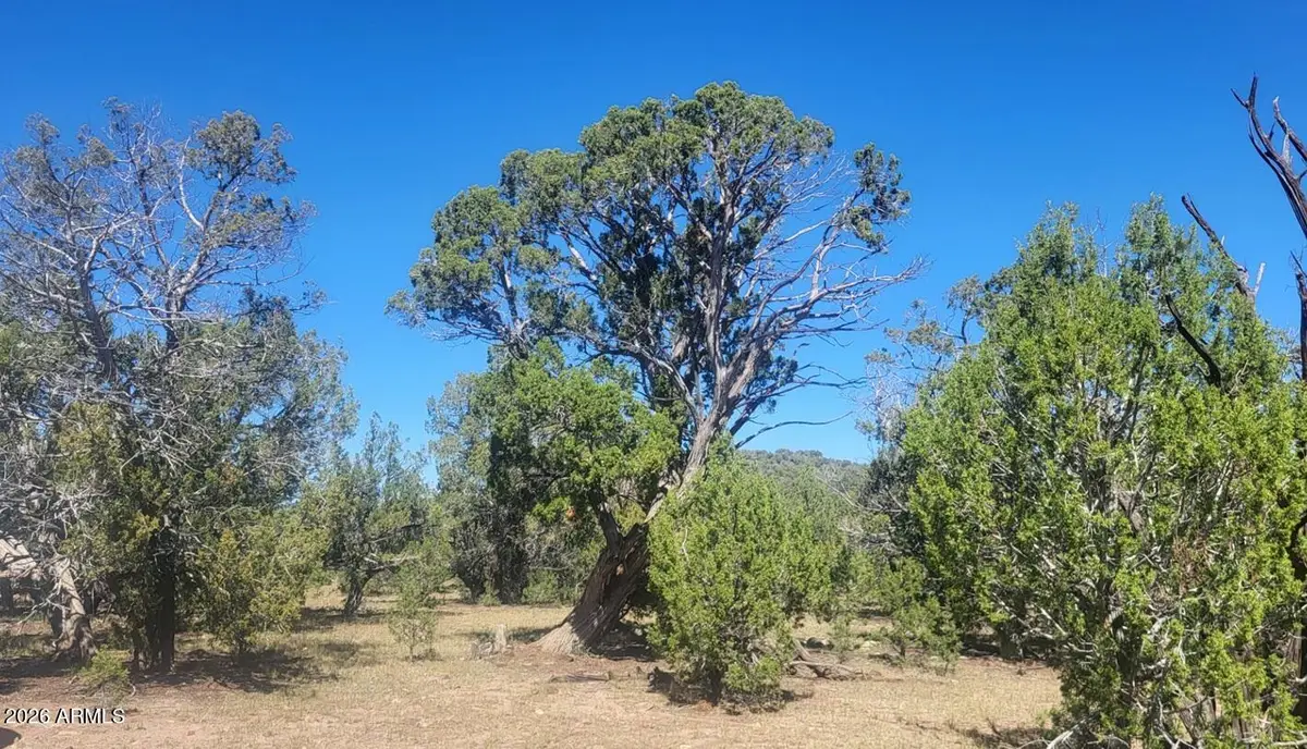 LOT1063 Mystic Way #1063, Williams, AZ 86046 - #1