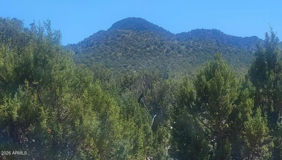LOT1063 Mystic Way #1063, Williams, AZ 86046 - #2