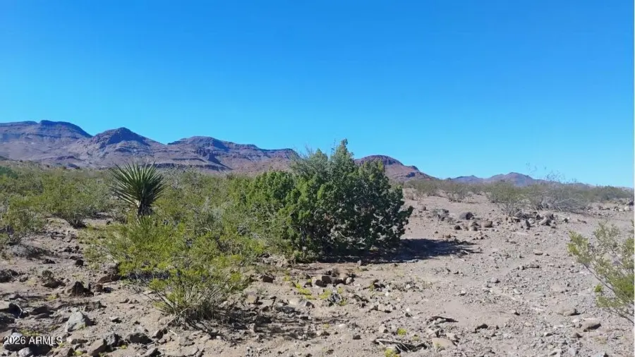 0 N Blaisdell Road #8, Golden Valley, AZ 86413 - #2