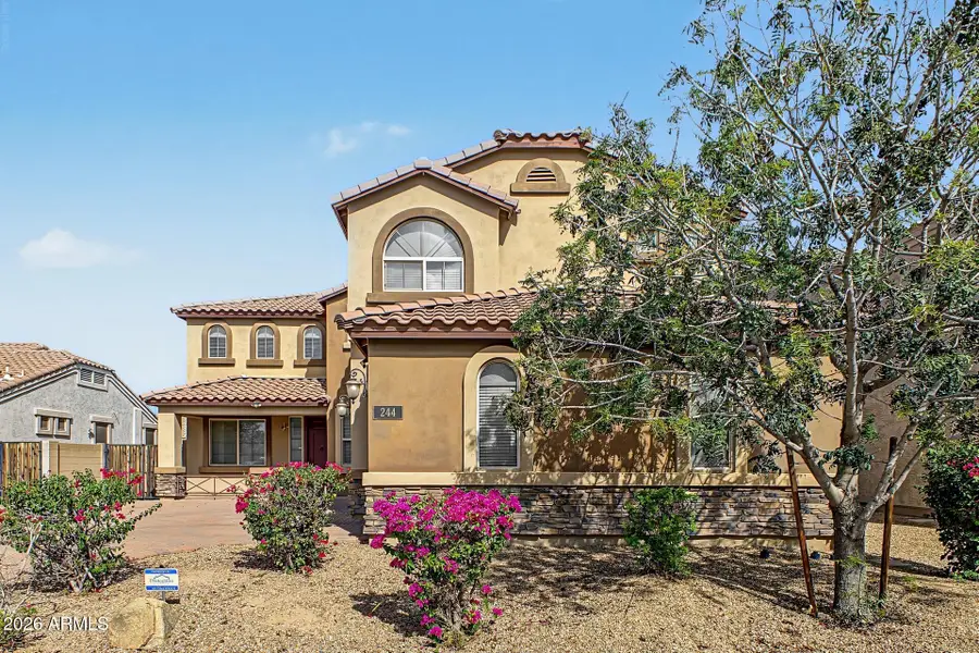 244 E Mead Drive, Chandler, AZ 85249 - #3