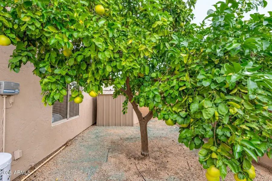 5253 E Villa Rita Drive, Scottsdale, AZ 85254 - #3
