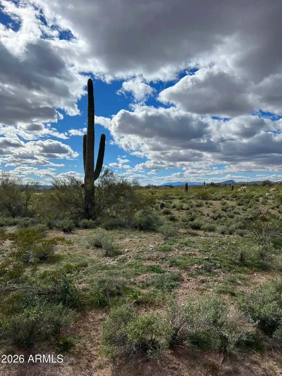 0 W Carlise Road #87, Wittmann, AZ 85361 - #2