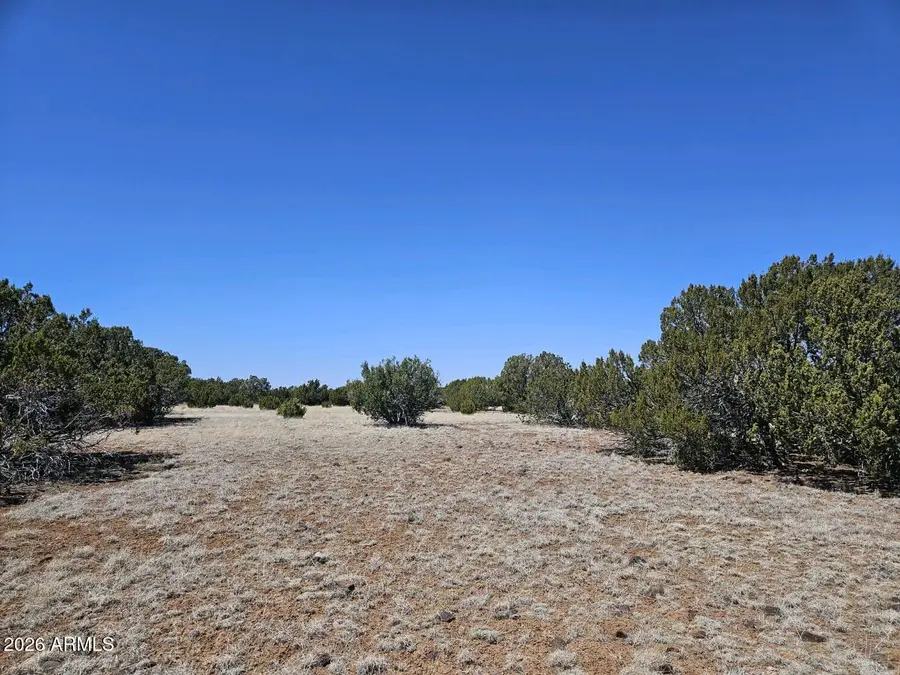 56 Acr 5073 --, Concho, AZ 85924 - #2