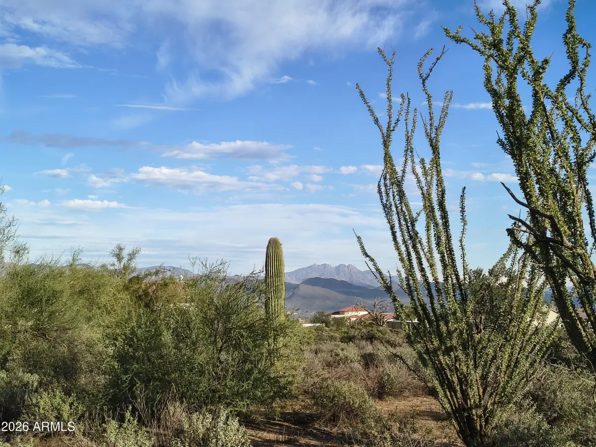 31XXX N 166th Place, Scottsdale, AZ 85262 - #1