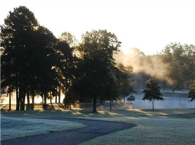 317 Arlington Park Drive, Hot Springs, AR 71901 - #1