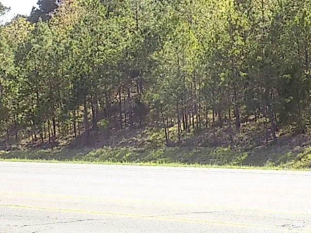 Hwy 65, Greenbrier, AR 72058 - Image #1