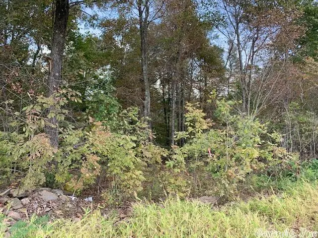 Address Withheld By Seller, Clinton, AR 72031 - Image #1