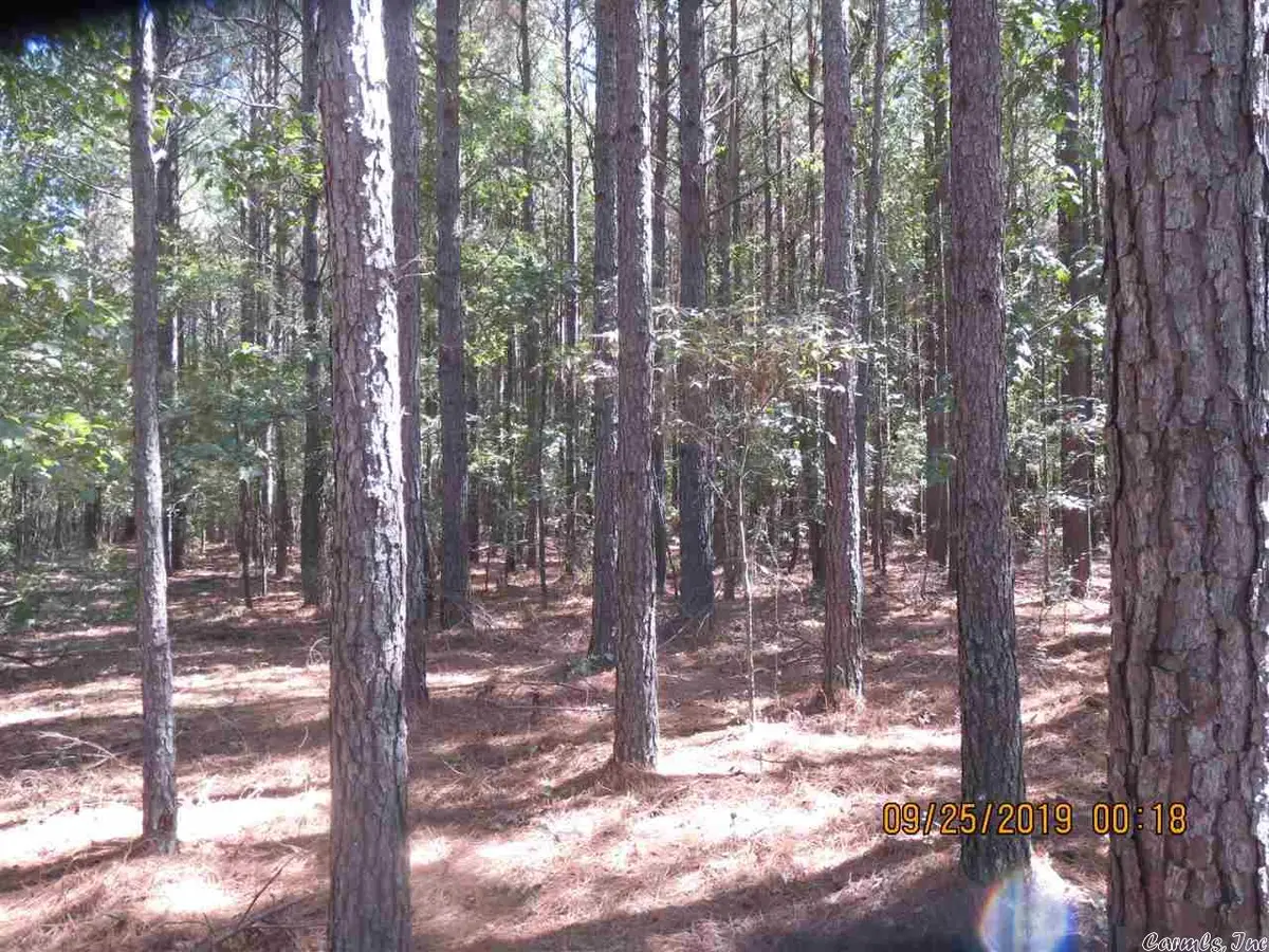 0000 Rural, Monticello, AR 71655 - Image #1