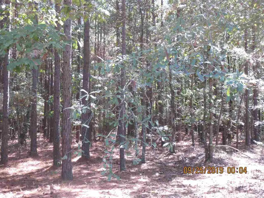 0000 Rural, Monticello, AR 71655 - Image #3