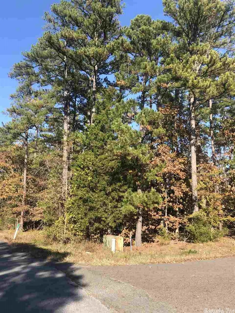 71 Pintuerero, Hot Springs Village, AR 71909 - Image #2