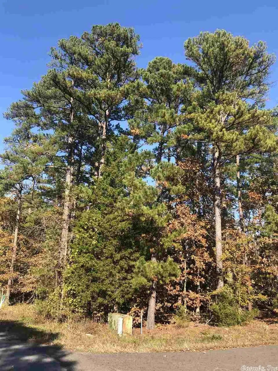 71 Pintuerero, Hot Springs Village, AR 71909 - Image #3