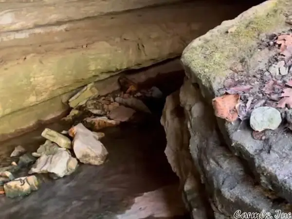 001-07824-000 Hwy 14 N, Yellville, AR 72687