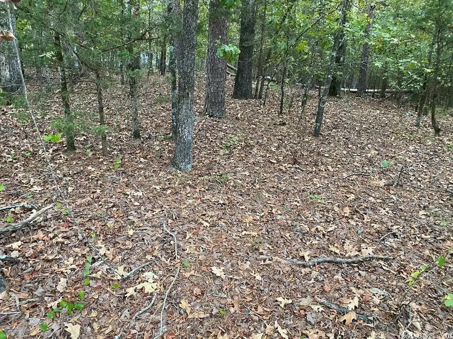 16 Loyola Drive, Hot Springs Village, AR 71909 - Image #3