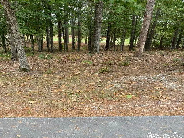 74 Loyola Drive, Hot Springs Village, AR 71909 - Image #1