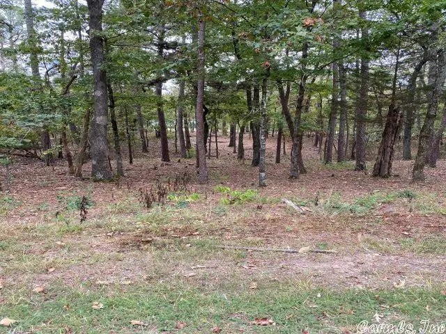 46 Loyola Drive, Hot Springs Village, AR 71909 - Image #1