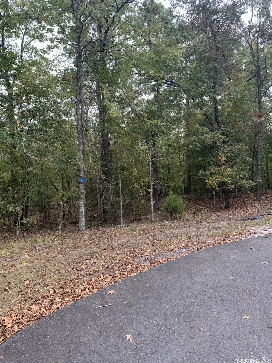 11 Alcazaba Lane, Hot Springs Village, AR 71909 - Image #2