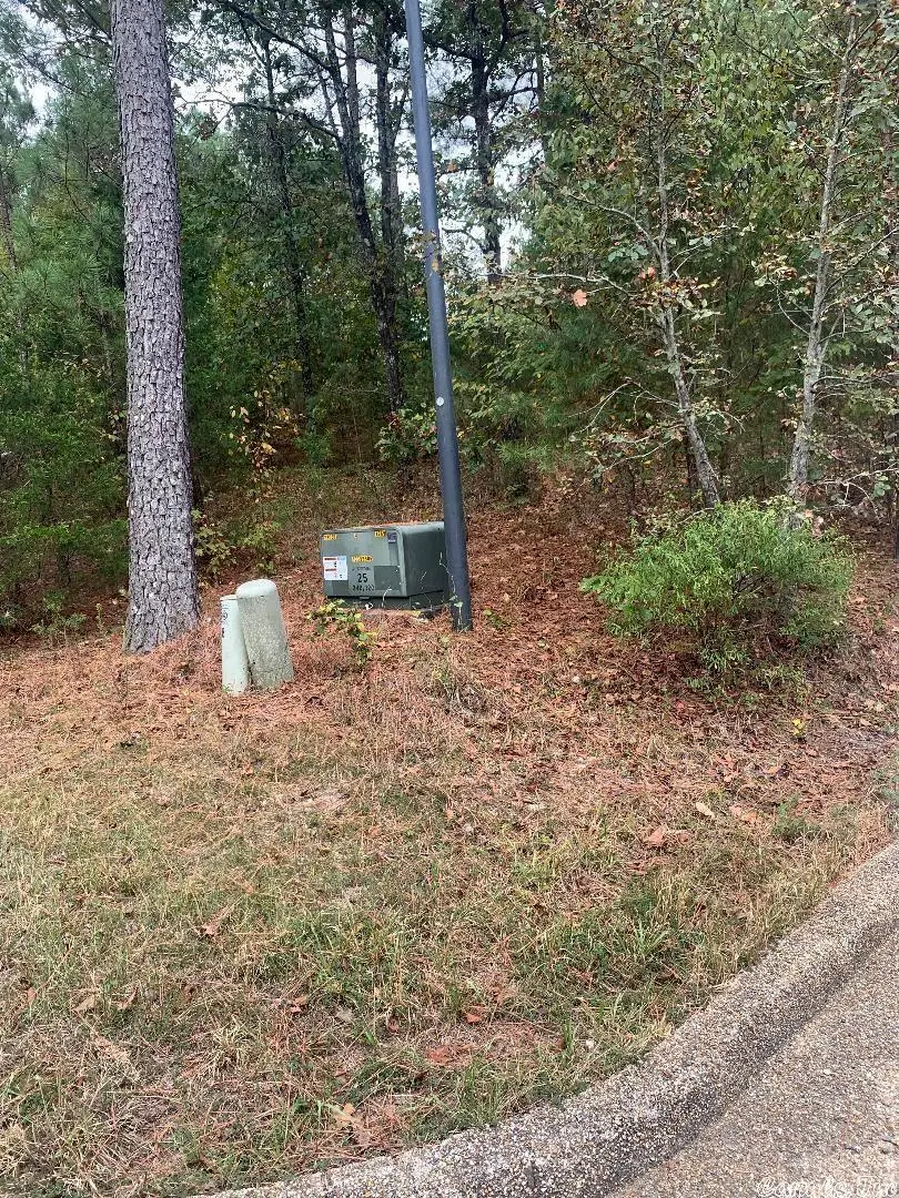 2 Fiesta Way, Hot Springs Village, AR 71909 - Image #2