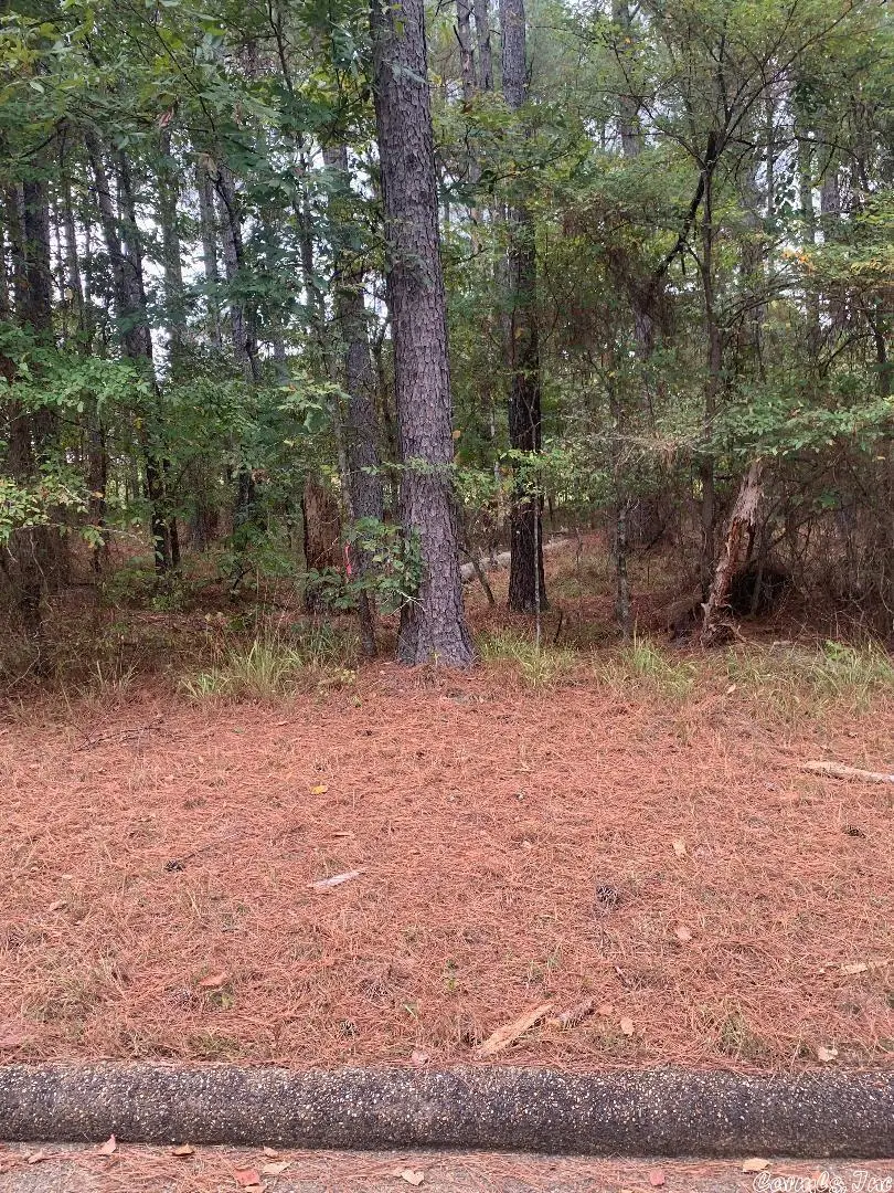 10 Poema Lane, Hot Springs Village, AR 71909 - Image #2