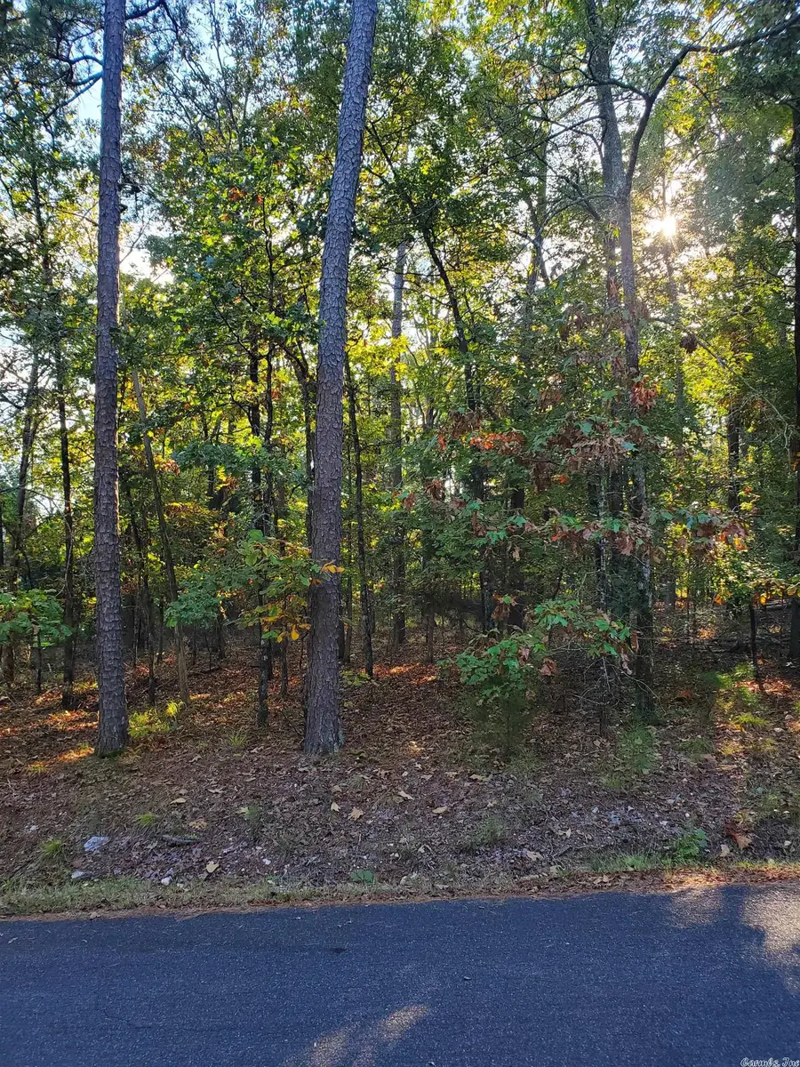 5 Loyola Way, Hot Springs Village, AR 71909 - Image #2