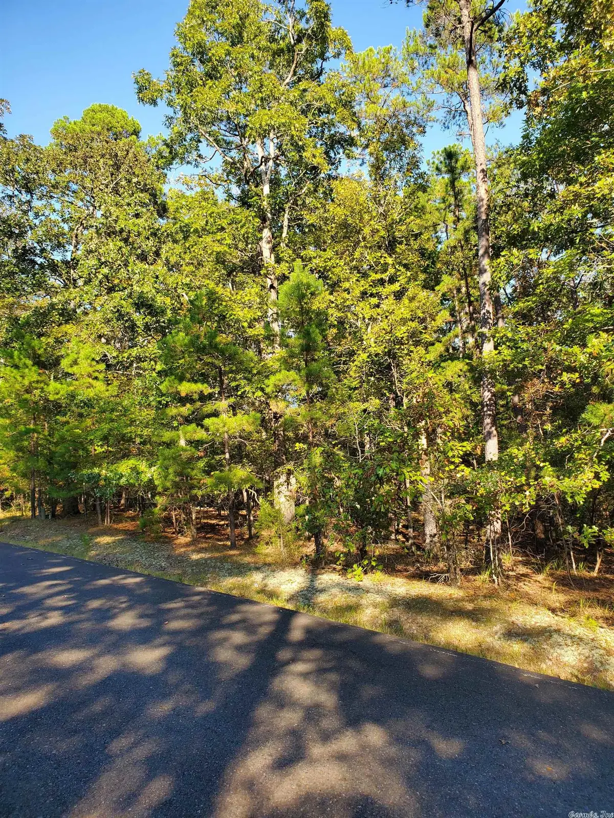 2 Princesa Lane, Hot Springs Village, AR 71909 - Image #1