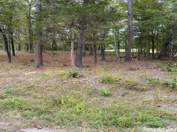 28 Princesa Drive, Hot Springs Village, AR 71909