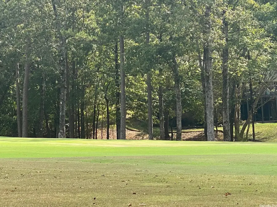 8 Princesa Drive, Hot Springs Village, AR 71909 - Image #3