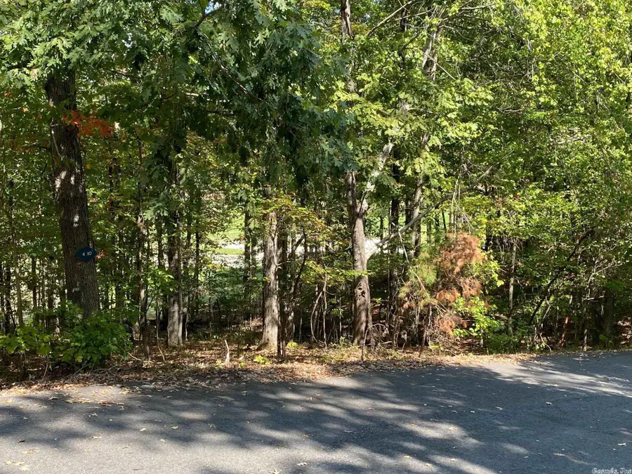 38 Granada Drive, Hot Springs Village, AR 71909 - Image #2