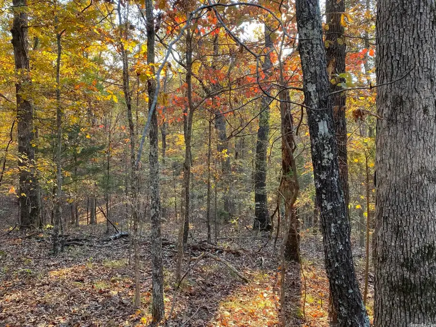 02 Ar 223 Highway, Calico Rock, AR 72519 - Image #2