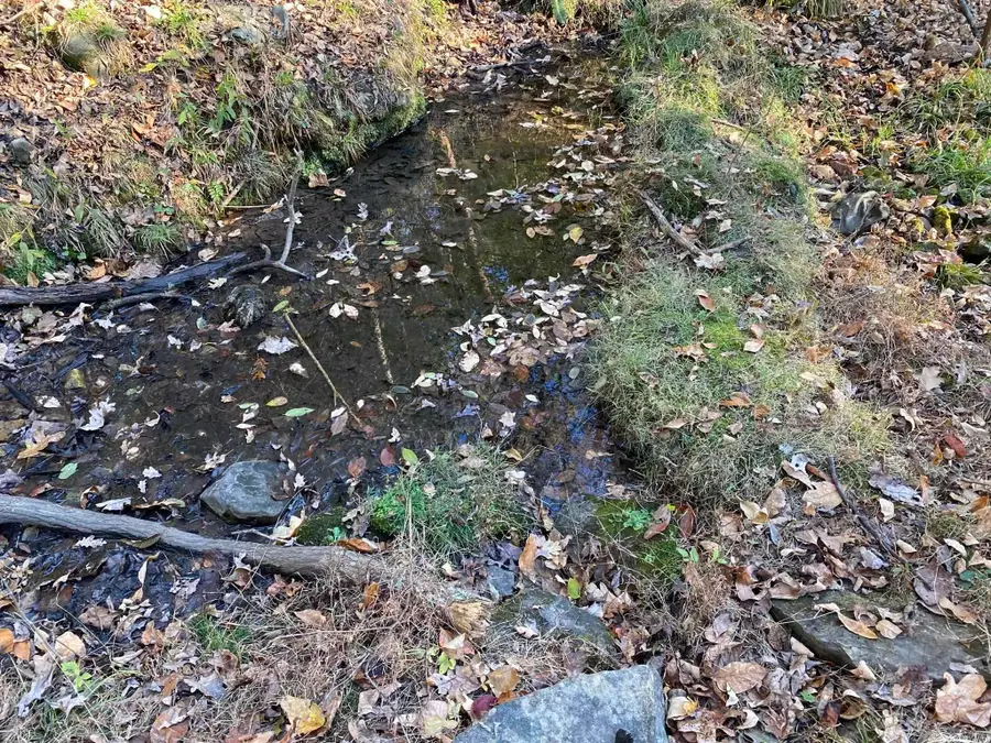 02 Ar 223 Highway, Calico Rock, AR 72519 - Image #3