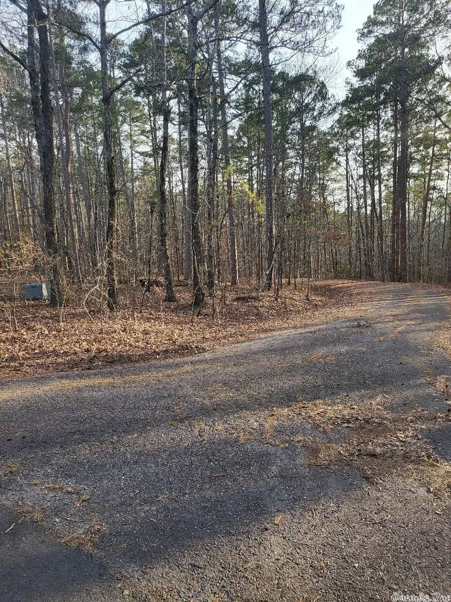 Lot 010 Palencia, Hot Springs Village, AR 71909 - #3