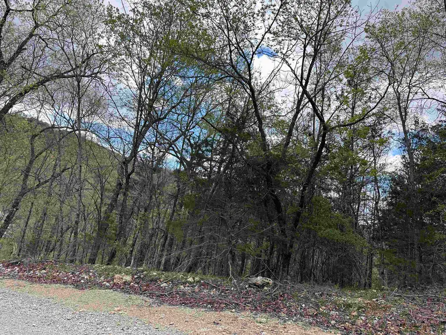 Off Dovewood Lane, Flippin, AR 72634 - Image #3