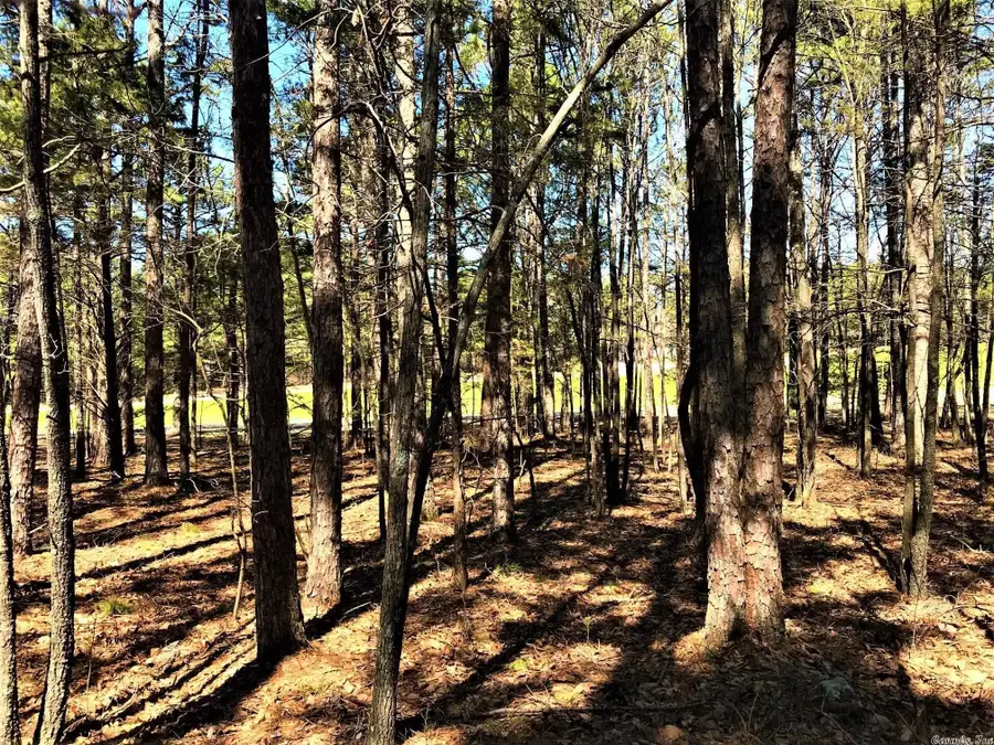 160 Edgemere Dr., Fairfield Bay, AR 72088 - Image #3