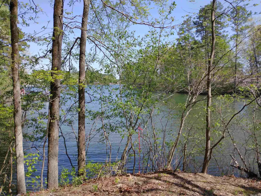 45 Tenerife Way, Hot Springs Village, AR 71909 - Image #3