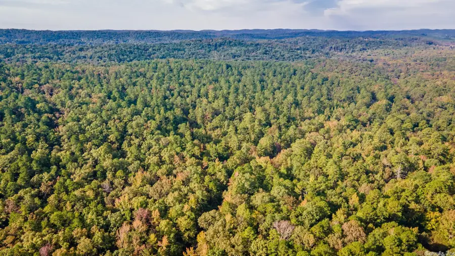 Garrison West, Little Rock, AR 72223 - Image #3