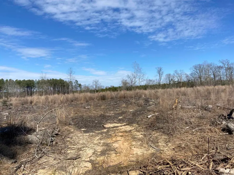 Boyd Road, Texarkana, AR 71854 - Image #3