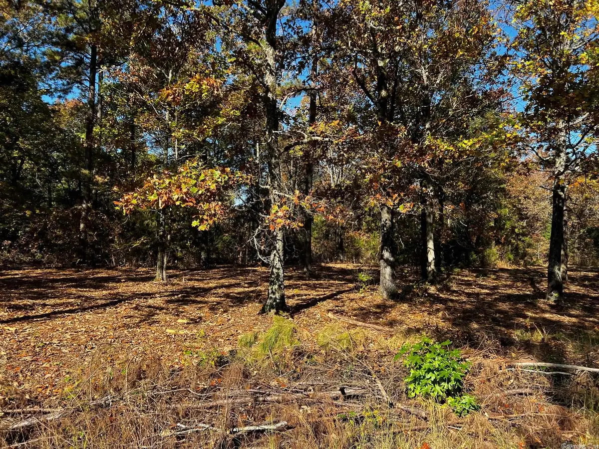 Address Withheld By Seller, Searcy, AR 72143 - Image #1