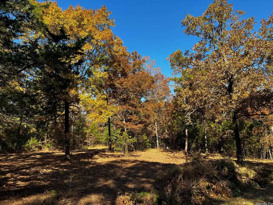 Address Withheld By Seller, Searcy, AR 72143 - Image #2