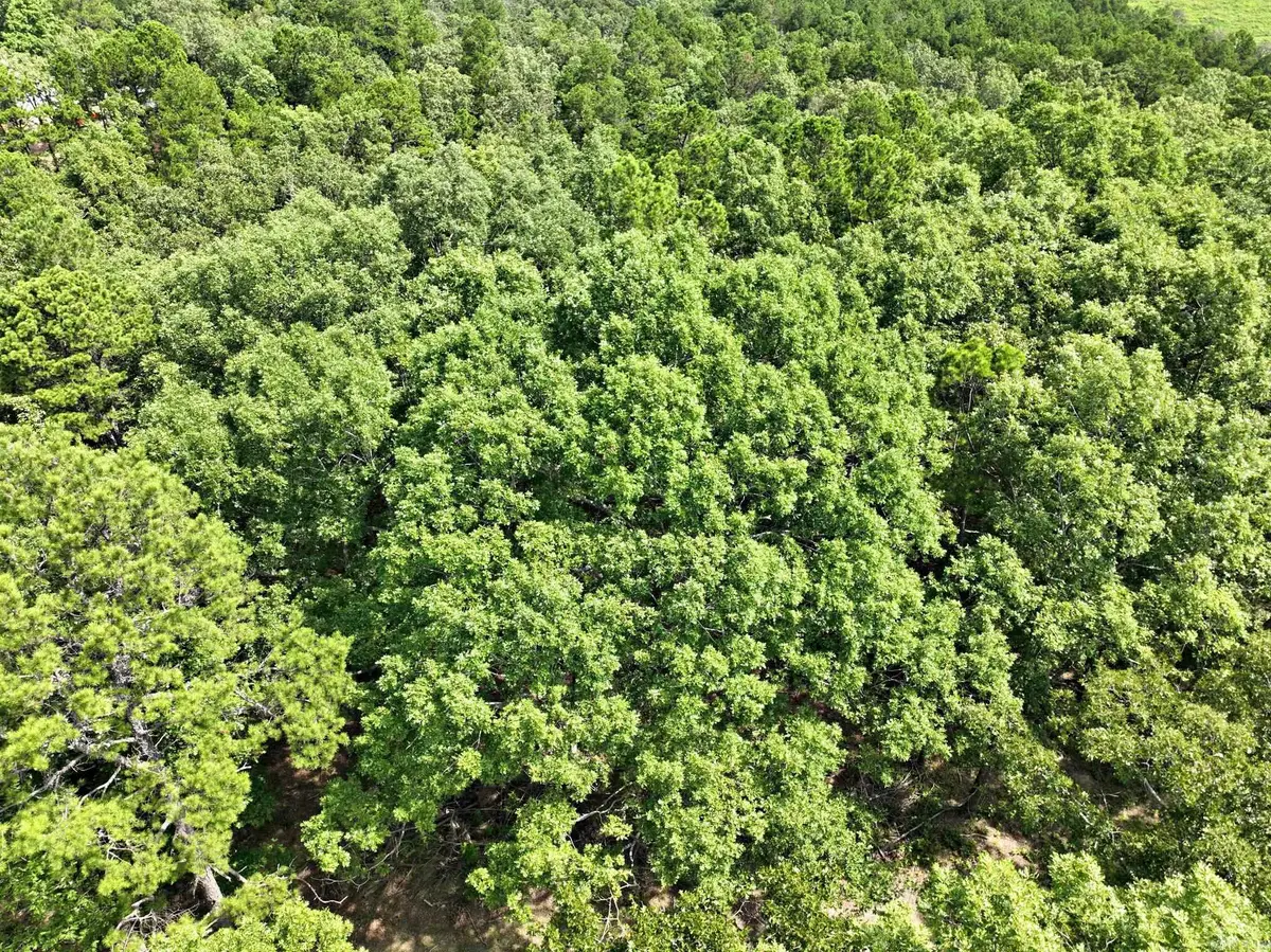 TBD Rolling Oaks Lane, Mena, AR 71953 - Image #1