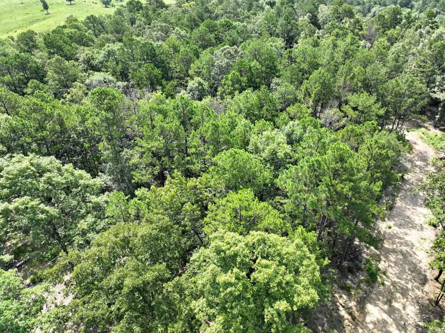 TBD Rolling Oaks Lane, Mena, AR 71953 - Image #2